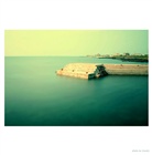 dailyPhoto17